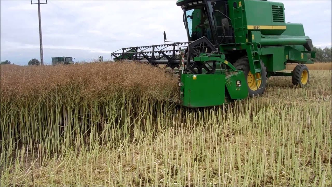 Żniwa 2015 Akcja Rzepak (Kombajn John Deere 1170,Ciągnik John Deere 6920 i Przyczepa Knies