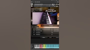Session Guitarist First Play #nativeinstruments #sessionguitarist #music #firstplay