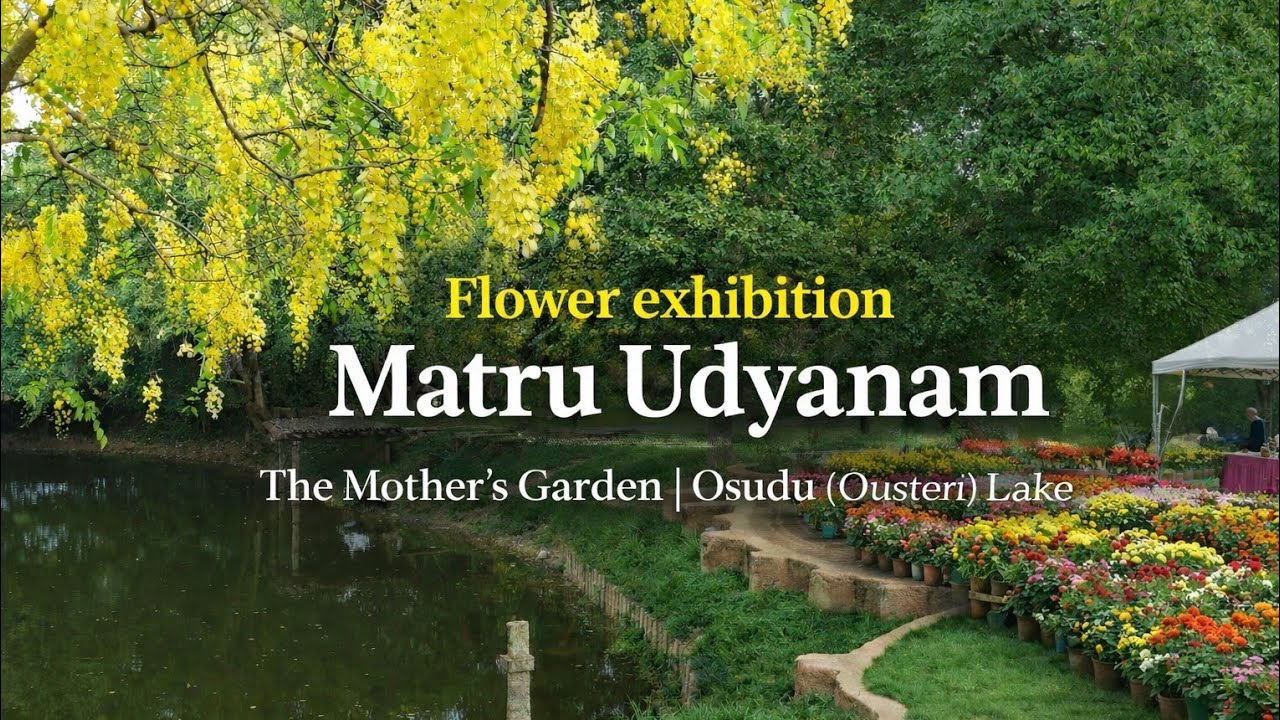 Matru Udyanam | The Mother's Garden | Osudu (Ousteri) Lake | 10 km West of Pondicherry | Pondicherry