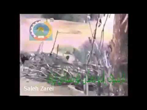 عەمالیاتی گەورەی هێزی بەیان و هێزی زمزیران و هێزی گیارەنگ و هێزی پێشەوا لە گوندی سێپەکان