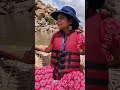 Tunghabadra river #travel #travelvideo #travelvlog #traveling #travelblogger #travelgram #traveller