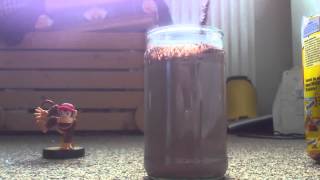 Me bathing my Diddy Kong amiibo in Nesquik cocoa.