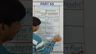 Terms and Examples - #plantgrowthanddevelopment Part 65