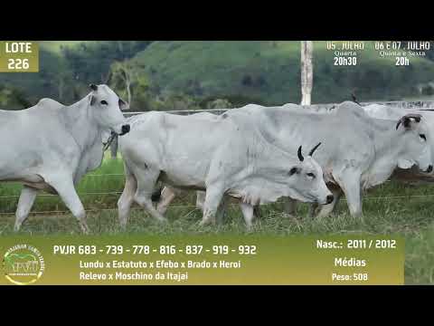 LOTE 226   PVJR 683   739   778   816   837   919   932