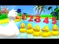 เพลงลูกเป็ด 5 ตัว | เป็ดน้อย 5 ตัว | five little duck  By KidsMeSong