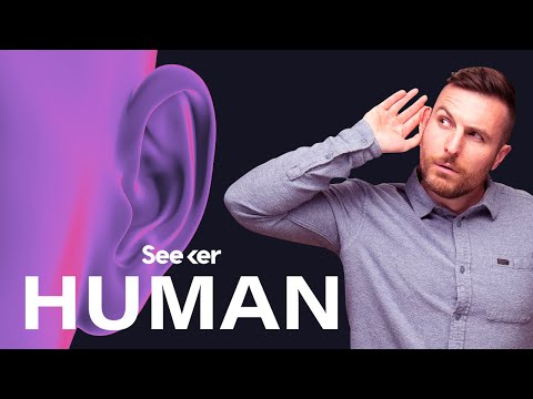 دقیقاً چگونه گوش های شما بر حس تعادل شما تأثیر می گذارد؟
