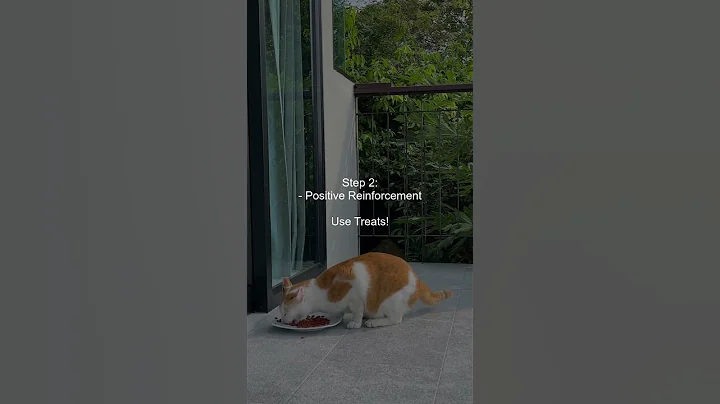 Video 5734131: russian blue cat, cat training, cat ear cleaning, best cat