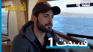 پرندگان زخمی | با دوبلۀ فارسی | قسمت 1