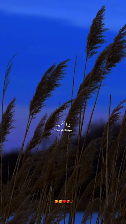 Gham-e-Ashiqui | Rahat Fateh Ali Khan | #shortsfeed #youtubeshorts #youtubesearch #aesthetic #fyp