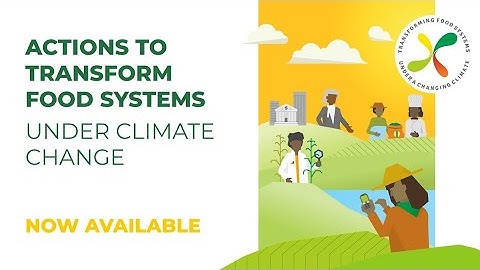 Celebrating a year of partnerships that transform food systems #NewEra4Food