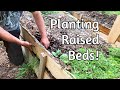 DIY Raised Beds - Getting Planted!