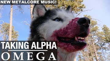 TAKING ALPHA - Omega (Official Music Video)