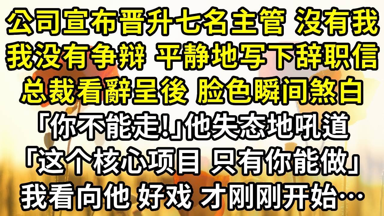 公司宣布晋升七名主管，卻沒有業績常年霸榜第一的我。我没有争辩，平静地写下辞职信，总裁看辭呈後，脸色瞬间煞白｢你不能走!｣他失态地吼道。｢这个核心项目，只有你能做｣我看向他，好戏，才刚刚开始…