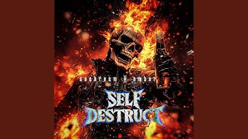 Self Destruct