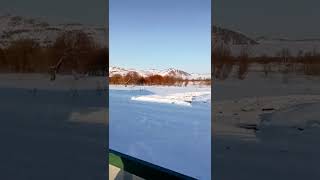 куяган. Алтайский край.