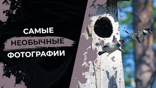 20 ФОТОГРАФИЙ, НА КОТОРЫЕ СМОТРИШЬ И ГЛАЗАМ НЕ ВЕРИШЬ 20 ФОТОГРАФИЙ, НА КОТОРЫЕ СМОТРИШЬ И ГЛАЗАМ НЕ ВЕРИШЬ