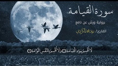 لأول مرة " رواية ورش عن نافع " بصوت القارئ رعد الكردي ؛ سورة القيامة كاملة : ترتيل مميز