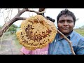 Honey Hunting|தேன் வேட்டை எங்கள் ஊரில்|Village Food Safari|Small Boy Suppu