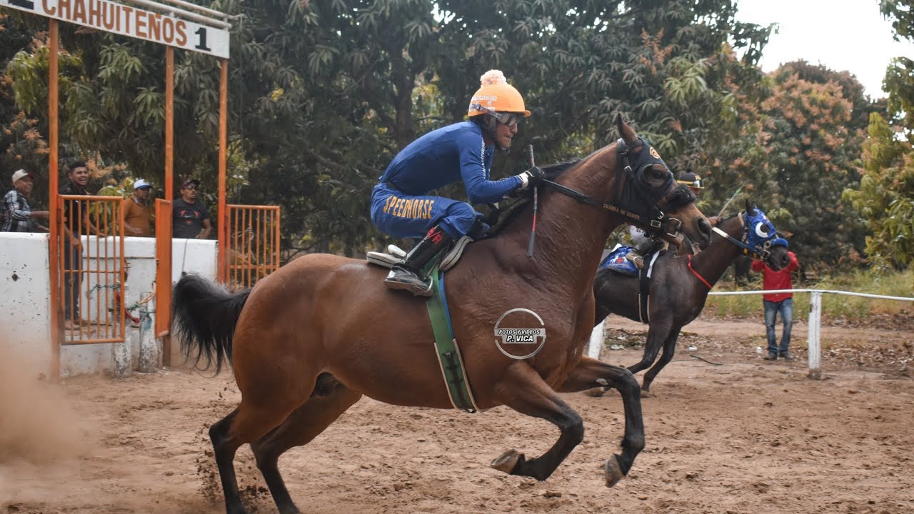 CARRERA ESTELAR--FOBUS VS MF carriles LOS CHAHUITEÑOS Zanatepec,Oax--15 de Febrero🔥🐎