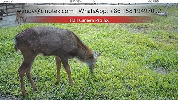 PRO 5X: 4K/30FPS, 0.5s Trigger & -30°C Operation - The Ultimate Wildlife Camera?