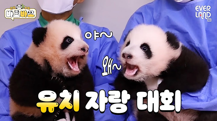 Twin baby pandas showing off their baby teeth while chit chatting :) | Baobao EP.12 Ruibao&Huibao