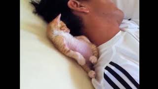 Маленький котик спит с хозяином Маленький котик спит с хозяином