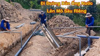 Lắp Đặt Hệ Thống Tưới Nước Cho Sầu Riêng Tập 5