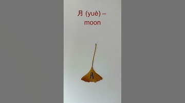 Moon (月) in Chinese Calligraphy on a Leaf #calligraphy #natureart #learnchinese #ChineseLanguage