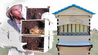 The new BEE HIVE is here. Just in time for the bees!  (Flow Hive Unboxing)