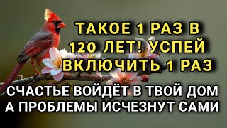 картинка: УСПЕЙ ВКЛЮЧИТЬ 1раз! СЧАСТЬЕ ВОЙДЁТ В ДОМ, А ПРОБЛЕМЫ ИСЧЕЗНУТ САМИ! Это Чудо 🔊🤲✨🔑💯