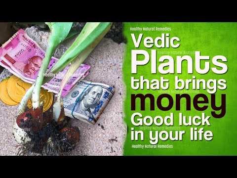 Vedic Plants that brings money in your life | Get rich, attract money and good luck