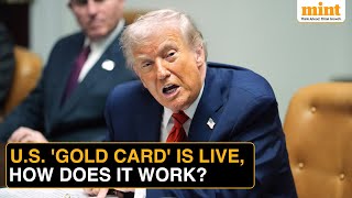 'Have To Go Back To India': How Trump's 'Gold Card' Visa Works | Pay $1 Mn, Retain Foreign Talent