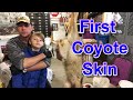 Beginner Coyote Trapping Fur Prep. In the Fur Shed