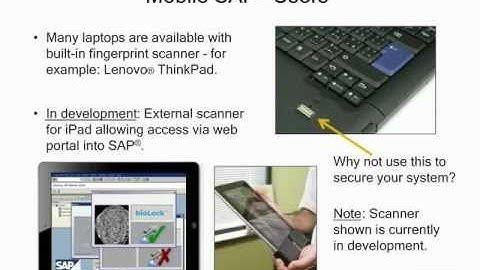 SAP Security: C-Level Review