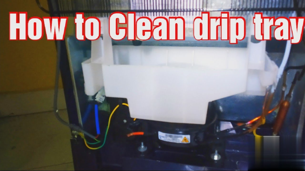 How to Clean Water Drip Pan of Refrigerator Whirlpool 200 L फ्रिज
