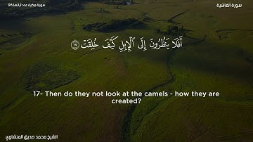 88- سورة الغاشية - الشيخ محمد صديق المنشاوي
