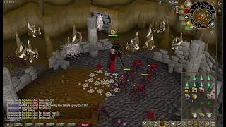Barraging Temple spiders - OSRS on HDOS client