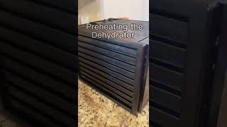 Dehydrating Herbs for a Muscle and Pain Salve
