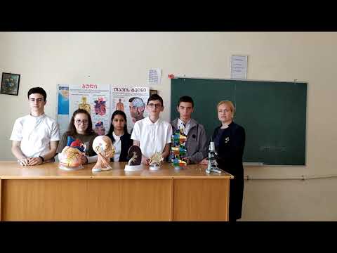 ჩხირკედელას პროექტი (გუნდი “ნოოსფერო“)