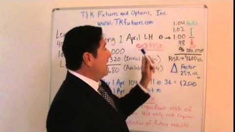 lean hog futures and options educational video