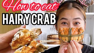 How to eat Hairy Crabs