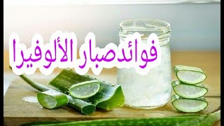 فوائد  مذهلة  للصبار  وأضراره أول مرة تسمعها