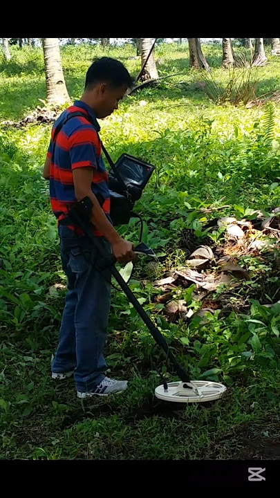 YAMASHITA TREASURE HUNTING #treasure # yamashita #metaldetecting