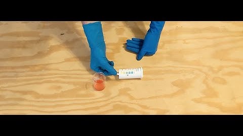 How to Use Bartovation Food Protein Test Strips