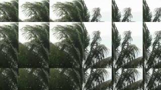 Let Him  Trevor Shields And The Beltones