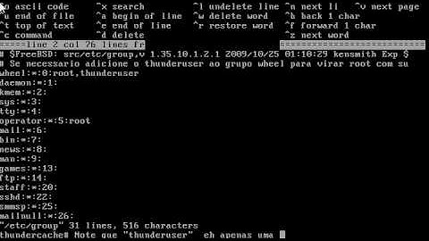 [VIDEO 2] Primeiro Boot apos instalação do FreeBSD p/ Thunder Cache Professional.