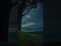 ولا تهنوا ولا تحزنوا وأنتم الأعلون إن كنتم مؤمنين 