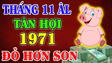 Tử Vi Tháng 11 Âm Lịch, Tuổi Tân Hợi 1971, Đắc Lộc Ơn Trên, Gánh Tiền Về Nhà, Giàu Đột Xuất