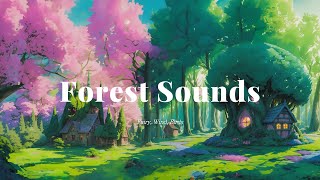 숲의 속삭임 ASMR 4K 🌳Sleep Sound Bird Forest Wind🌲