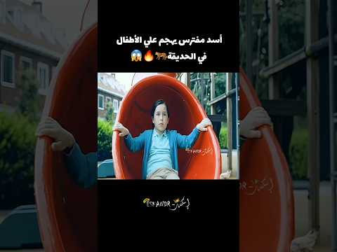 أسد يحاصر الأطفال في الحديقة  قصص اكسبلور